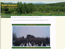Tablet Screenshot of boisebrabant.com